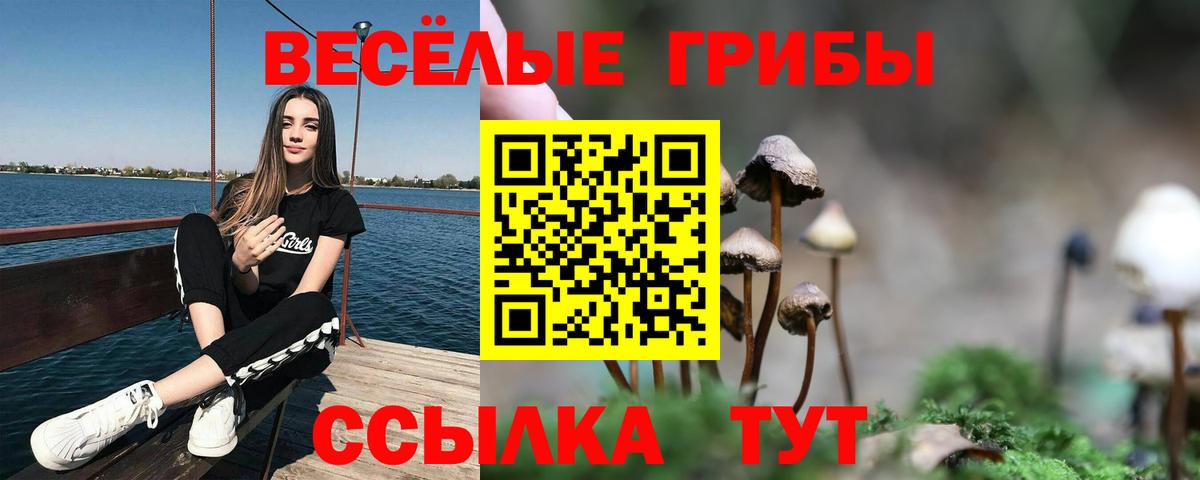 Галлюциногенные грибы Magic Shrooms  Вход с VPN  где купить наркотик  Шатура  Псилоцибиновые грибы GOLDEN TEACHER 